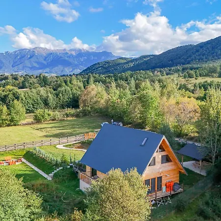 Chalet Timbernest Bran (Brasov)